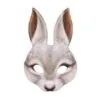 Rabbit-c